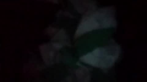 Snapshot of swollpole2112 chatting on 16, 5, 2026 swollpole2112 online show from 16, 5, 2026
