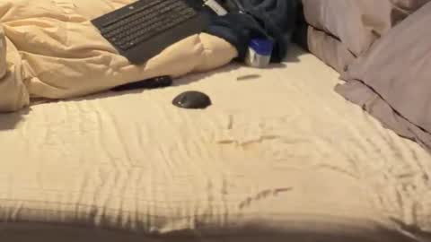 SissyDenver online show from 18, 12, 2025