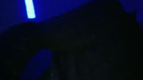 sylvauvert70 online show from 18, 1, 2026