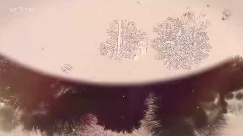 TAANNI online show from 22, 2, 2026