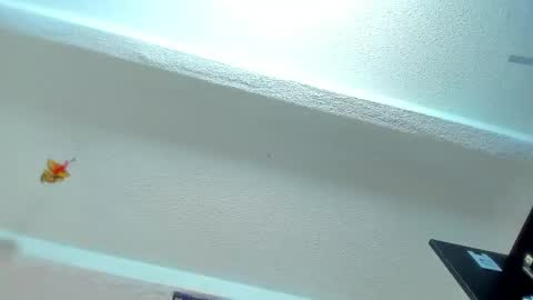 Snapshot of tafari_1 chatting on 30, 4, 2026 Tafari Zulu online show from 30, 4, 2026