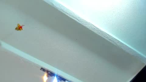 Snapshot of tafari_1 chatting on 22, 5, 2026 Tafari Zulu online show from 22, 5, 2026