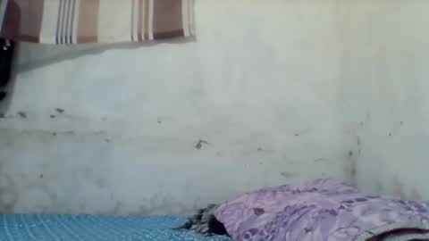 taliah254 online show from 17, 12, 2025