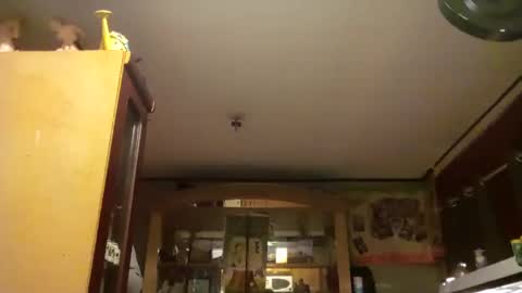 taliban809 online show from 18, 2, 2025