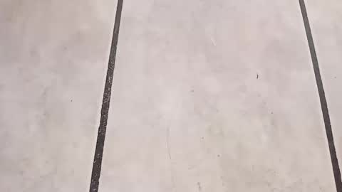 Snapshot of tall6feet7inch chatting on 24, 9, 2025 tall6feet7inch online show from 24, 9, 2025