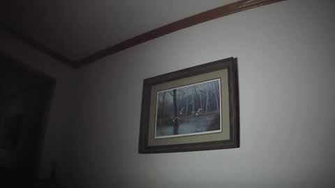 tallnfitstud online show from 21, 11, 2025