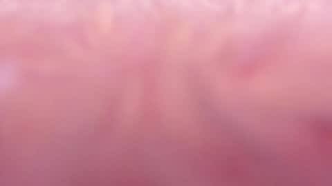 Tamy ian online show from 31, 1, 2025