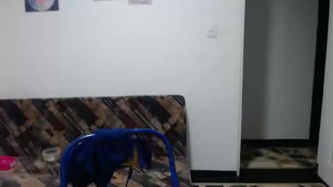 Angeline  Follow  online show from 11, 5, 2026