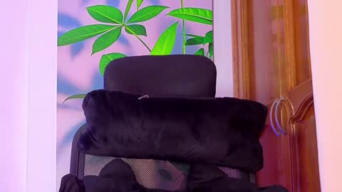 tattokoi online show from 20, 3, 2026