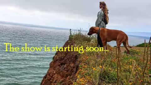 TATUM  ALL MY LINKS  online show from 21, 5, 2026