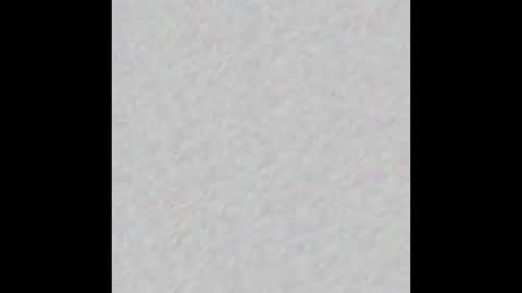 taxipad online show from 2, 12, 2025