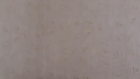 Taya online show from 7, 4, 2026