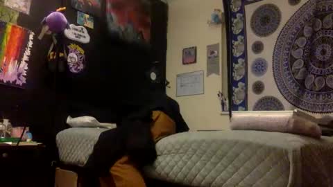 Tayler online show from 3, 3, 2026