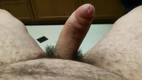 tazo11111 online show from 11, 4, 2026