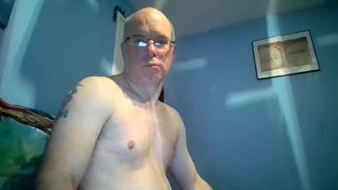 tazo78 online show from 17, 11, 2025