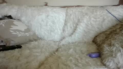 Snapshot of teasemechanic69_420 chatting on 24, 9, 2025 teasemechanic69_420 online show from 24, 9, 2025