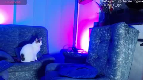 Snapshot of techno_420 chatting on 7, 6, 2026 Charlee He online show from 7, 6, 2026