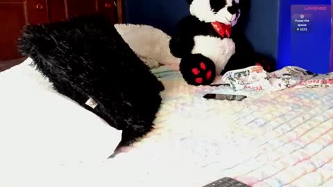 Teo online show from 11, 3, 2026