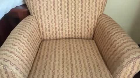 Tev online show from 23, 3, 2026