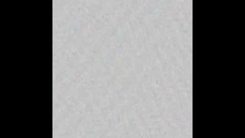 TexPig online show from 26, 9, 2025