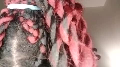 Snapshot of tgirlfairy chatting on 17, 1, 2025 sexi lexi online show from 17, 1, 2025