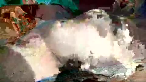 Snapshot of th3darksideofthemoon chatting on 8, 3, 2025 th3darksideofthemoon online show from 8, 3, 2025