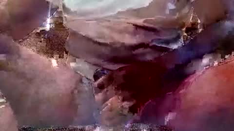 Snapshot of thatguy_bda22 chatting on 11, 2, 2025 That Guy J online show from 11, 2, 2025