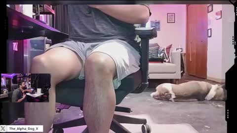 the_alpha_dog_xxx online show from 24, 2, 2025