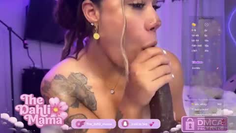 Snapshot of the_dahli_mama chatting on 20, 7, 2026 the_dahli_mama online show from 20, 7, 2026