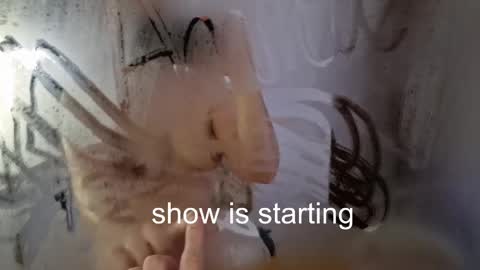 Snapshot of the_pussy_boulevard chatting on 23, 5, 2026 Anna online show from 23, 5, 2026
