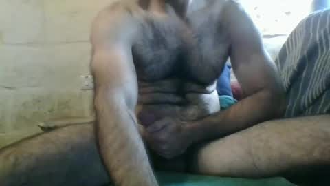 Thefatcurve online show from 12, 12, 2024