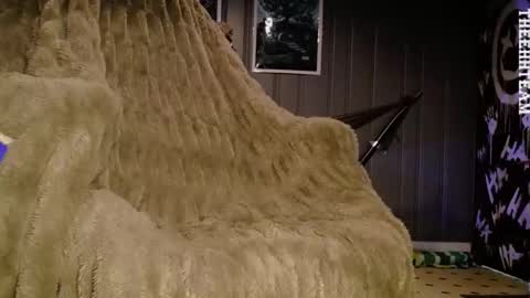 H online show from 13, 3, 2026