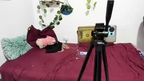 Ariamapola88 online show from 4, 3, 2025