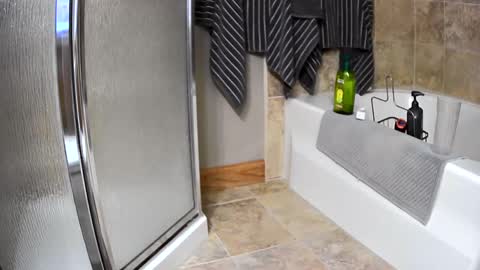 thegreat6268469 online show from 31, 1, 2025