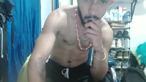 thehousedog online show from 27, 2, 2025