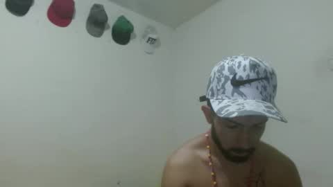 thehousedog online show from 11, 3, 2025