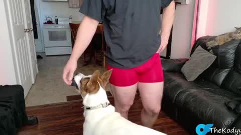 thekodyy online show from 4, 11, 2025