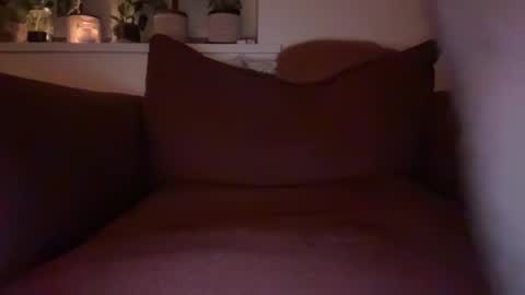 thelondonbear online show from 1, 12, 2025