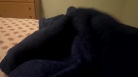 Snapshot of theplummer99 chatting on 4, 12, 2025 theplummer99 online show from 4, 12, 2025