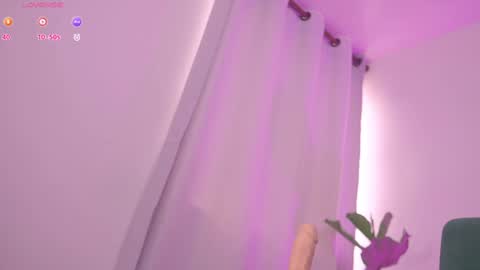    online show from 14, 12, 2024