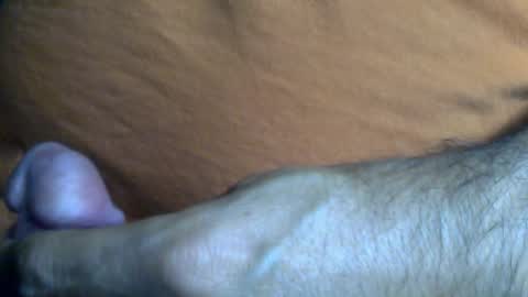 thesash online show from 28, 2, 2025