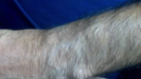 thesash online show from 12, 3, 2025