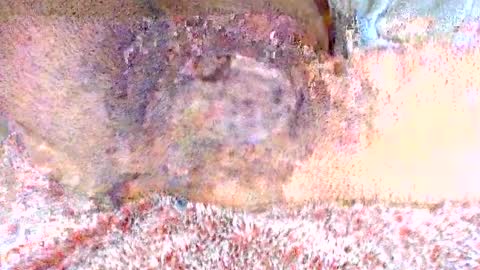 thetightestass14 online show from 20, 2, 2025