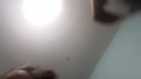 thetinyturtle online show from 15, 1, 2026