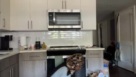 Sapphire the Vixen online show from 10, 4, 2026