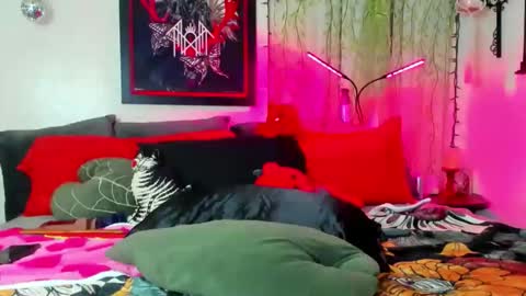 thickneyaadams online show from 26, 2, 2026