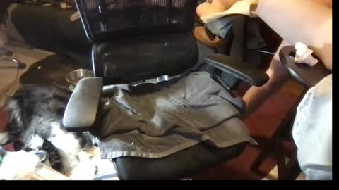 Snapshot of thundersword chatting on 8, 3, 2025 thundersword online show from 8, 3, 2025