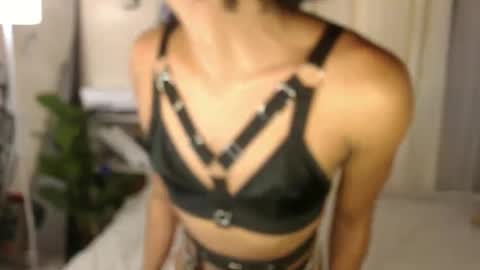 Sam online show from 15, 12, 2024
