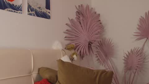 Snapshot of tiffanyjons chatting on 28, 2, 2025 tiffanyjons online show from 28, 2, 2025