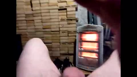 tigers26261022 online show from 17, 2, 2025